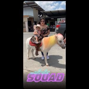 Meet your Posher, Veriitoo